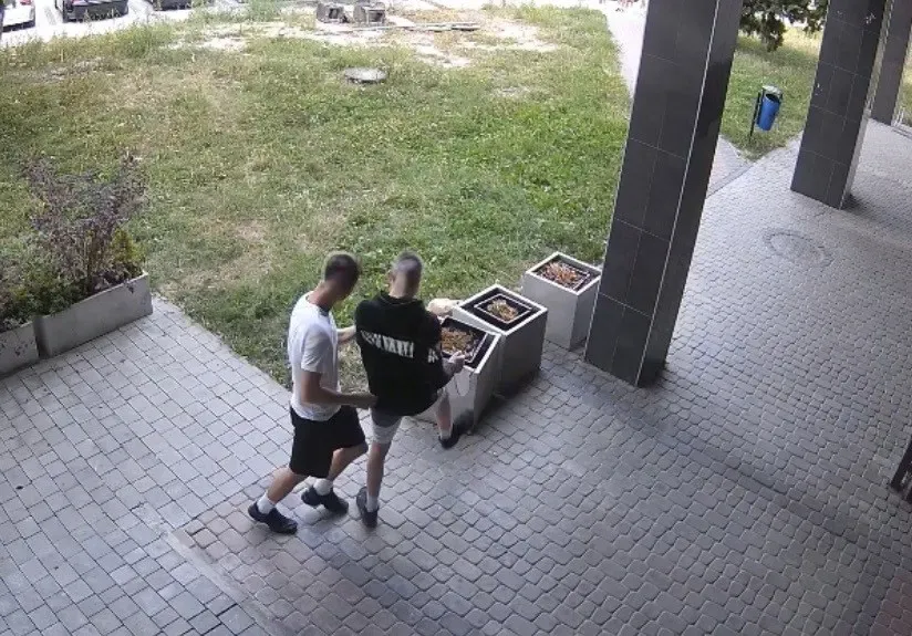 16-latek uszkodził donice przy ul. Jana Pawła II — odpowie przed sądem