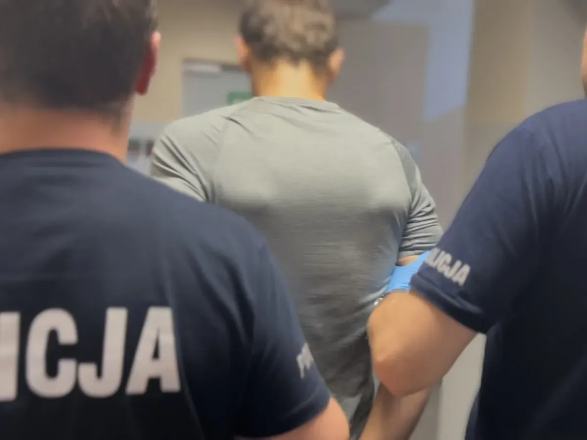 Sąd aresztował stalowowolskiego 32-latka podejrzanego o 26 przestępstw