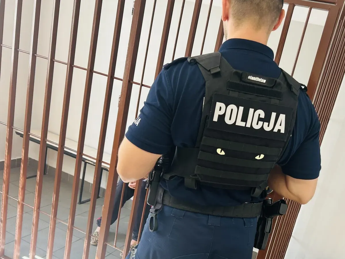 Uderzyła ratownika w twarz i znieważyła go — sąd wymierzył karę w trybie przyspieszonym
